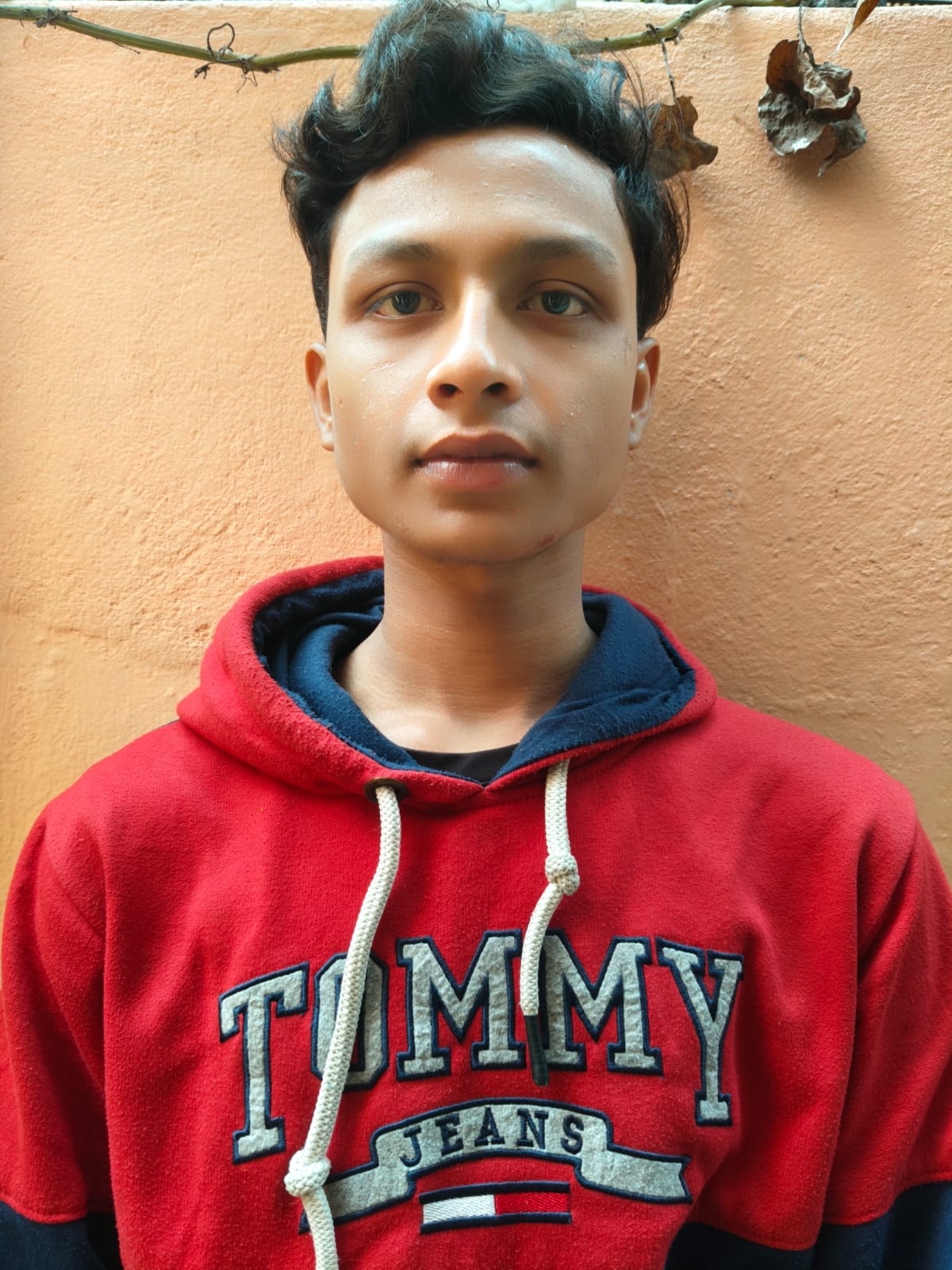 tallyacademy-certificate-ankit